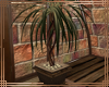 ~SD~ Potted Tree 1