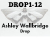 Ashley Wallbridge Drop