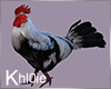 K anim rooster poses