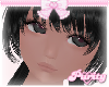 ♡doll