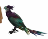 Purple Parrot