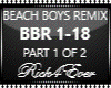 BEACHBOYS REMIX