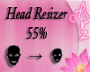 [Arz]Head Resizer 55%