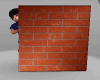 Hiding Behind Brick Wall