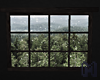 COZY Animated Window