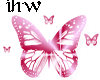 pink butterfly's