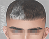 Gray & Chocolat Hair