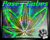 Pose Cubes -420