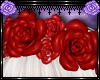 ♡ Ravish Roses