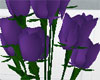 Purple Passion Flowers