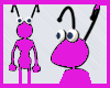 FRM