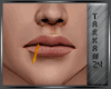 T-ToothPick