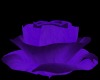 [K] Purple Rose Light