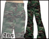 Camo Pants