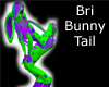 Bri-Bunny tail