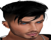 GERARD Black