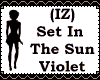 (IZ) Set InTheSun Violet