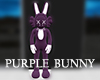 bunny purp