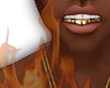 Gold bottom grill