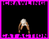 Crawling Actions