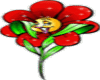 RedHot Flower