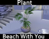 ::Beach Plant::