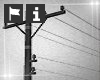 Telegraph Poles & Wires