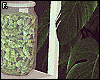 Weed Shelf [W]