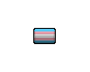 Transsexual Flag Tag