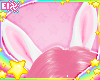 . white bunny ears