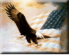 Eagle USA Flag