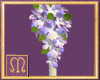 M+Orchid Blush Display