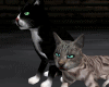 Animated Cats