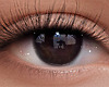 ✔ Eyes M/F