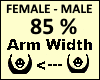 ARM Scaler 85%