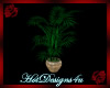 ~H~Tuscany Pot with Fern