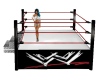 WWE Ring w/poses