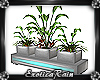 (E)LCA: Plants