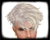 [U] Platinum Hair