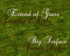 *Grass - Pelouse