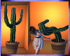 Mz.Cactus/Funny/anim