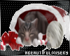 A. Christmas Kitty