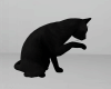 Animated Black Cat