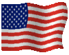 Flag of the U.S.A