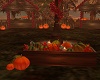 Pumpkin Harvest Decor