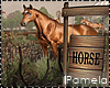 Horse Ranch PhotoRoom