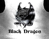 BlackDragon WhiteJacket