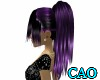 CAO Purple Fusion Seirra