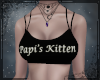 ! Papi's Kitten