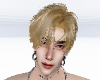 蛇 Mix Y